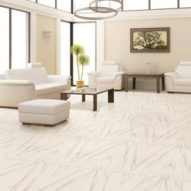 Vitrified Tiles